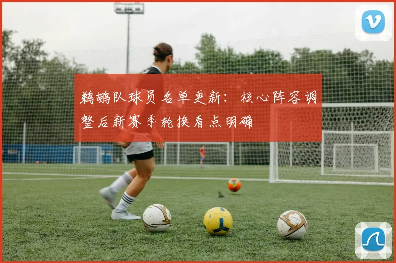 鹈鹕队球员名单更新：核心阵容调整后新赛季轮换看点明确