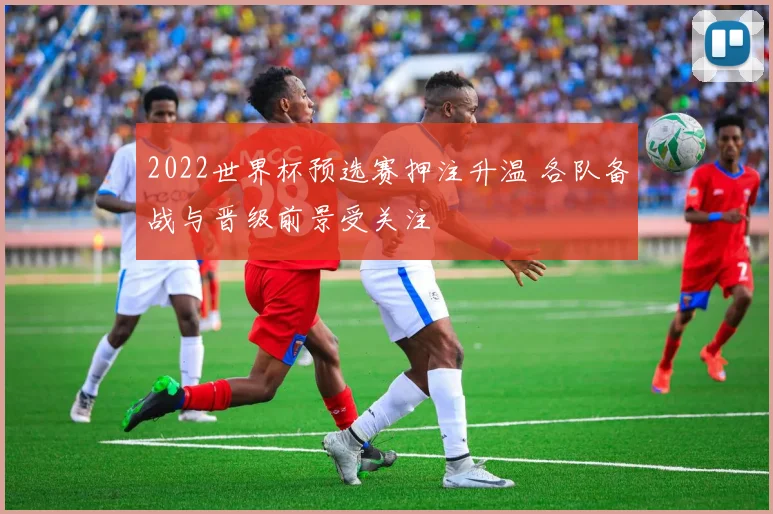 2022世界杯预选赛押注升温 各队备战与晋级前景受关注