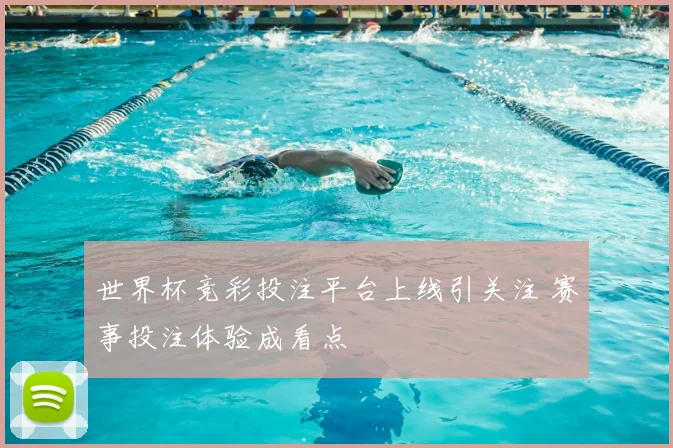 世界杯竞彩投注平台上线引关注 赛事投注体验成看点