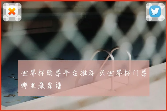 世界杯购票平台推荐 买世界杯门票哪里最靠谱