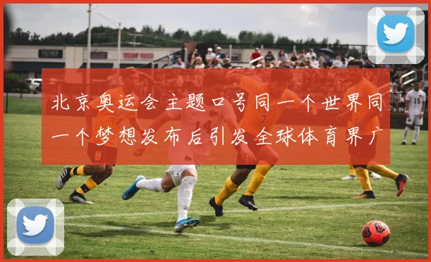 北京奥运会主题口号同一个世界同一个梦想发布后引发全球体育界广泛关注