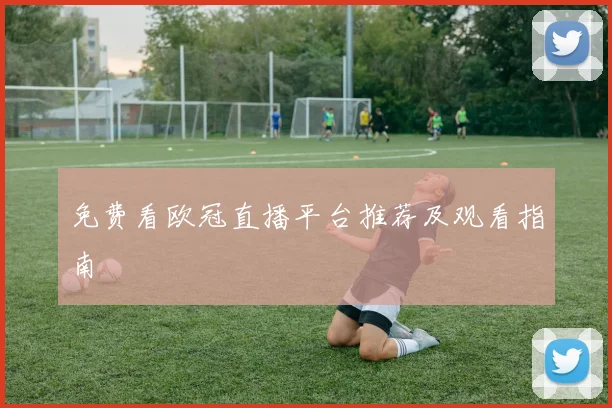 免费看欧冠直播平台推荐及观看指南