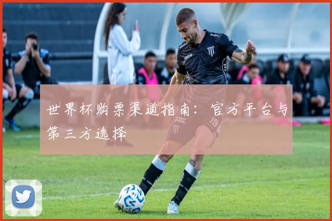 世界杯购票渠道指南：官方平台与第三方选择